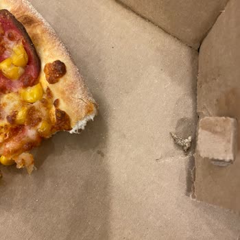 Trendyol Yemek Siparişimde Hijyen Skandalı: Domino's Pizza'dan Şok Edici Deneyim