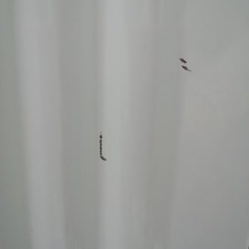 Çizik Gelen Çamaşır Makinesi Ve Güven Vermeyen Servis