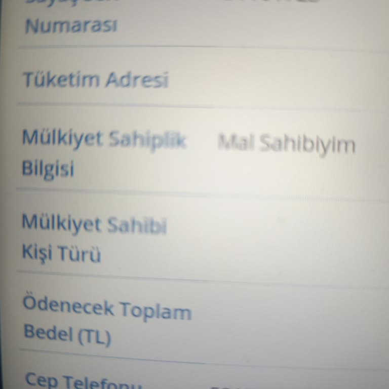 Yanlış Abonelik Bilgisi: Kiracı Yerine Mülk Sahibi Görünüyorum