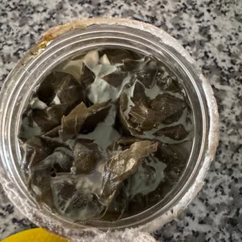 Küflü Ürün Ve Zehirlenme Tehlikesi