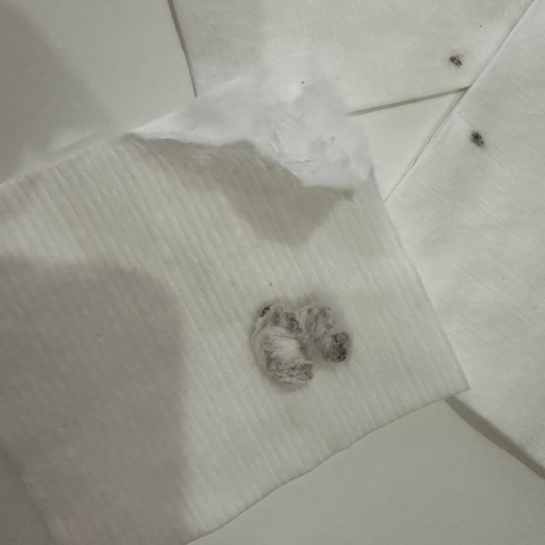 Baby & Me Bebek Temizleme Pamuklarında Siyah Kahve Rengi Lekeler Var