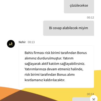 Ödeme Sorunları Ve Hesap İnceleme Süreci