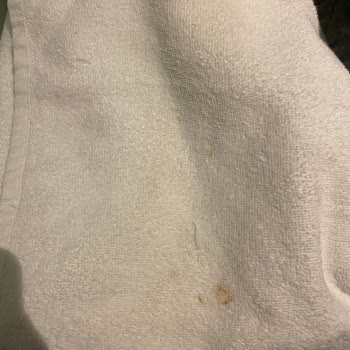 Gece Yarısı Otel Kabusu