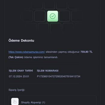 Cyber Samuray Sipariş Verdim, Ne Kılıç Var Ne Yanıt!
