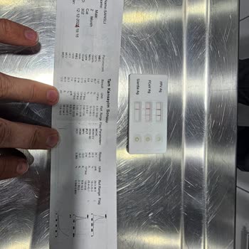 Sağlıksız Kedi Satışı Ve İlgisiz Satıcılar