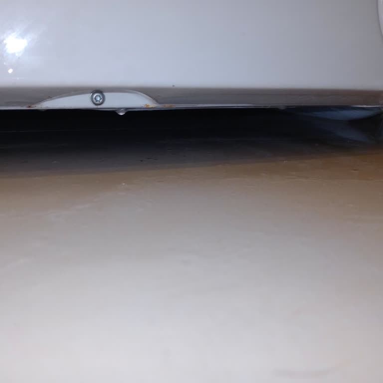 Regal Çamaşır Makinesi Su Kaçağı Sorunu