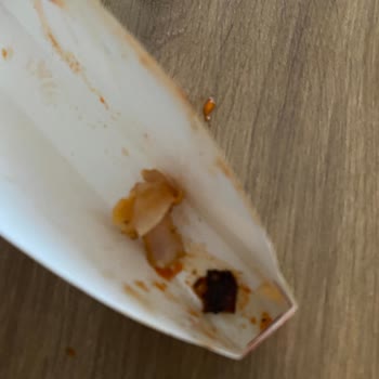 Hey Döner Dönerde Hijyen Ve Kalite Sorunları: Halk Sağlığı Tehlikede