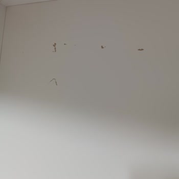 Mobilya Teslimatı ve Güvenlik Sorunları