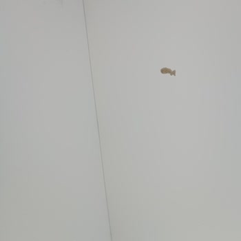 Mobilya Teslimatı ve Güvenlik Sorunları