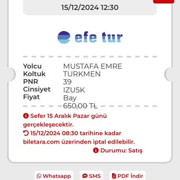 Efe Tur'da Tekli Koltuk Yanılgısı: Beklenmedik Yol Arkadaşı