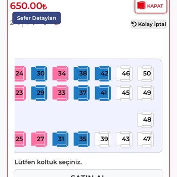 Efe Tur'da Tekli Koltuk Yanılgısı: Beklenmedik Yol Arkadaşı