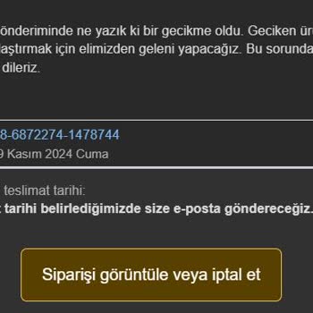 Hızlı Kargo Fiyaskosu: Bekletilen Ürün Ve İptal Edilen Sipariş