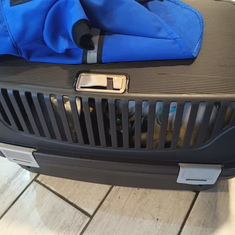 Köfteci Yusuf'ta Evcil Hayvan Politikası Sorunu!