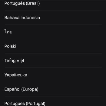Türkçe Dil Desteği Sorunu