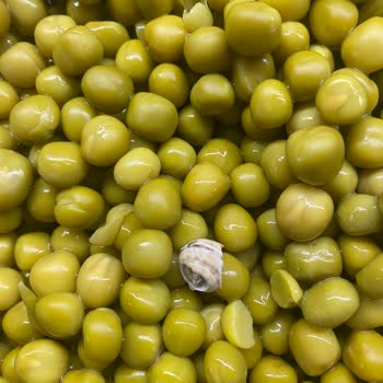 Harras Bezelye Konservesinde Şok: Sümüklü Böcek Çıktı!