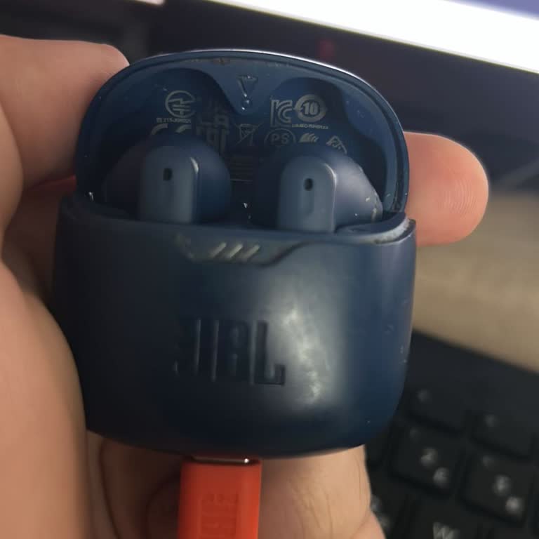 JBL Tune Flex Kulaklık Kutusu Aniden Çalışmayı Durdurdu