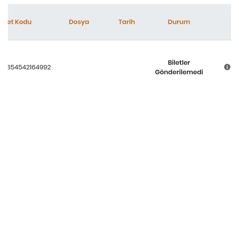 Bilet Gönderimi Ve İade Sorunu
