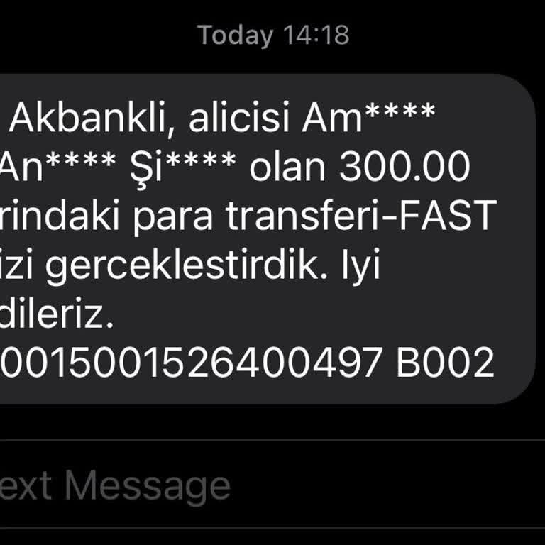 Havale Sorunu: Kaçırılan Fırsatlar Ve Mağduriyet