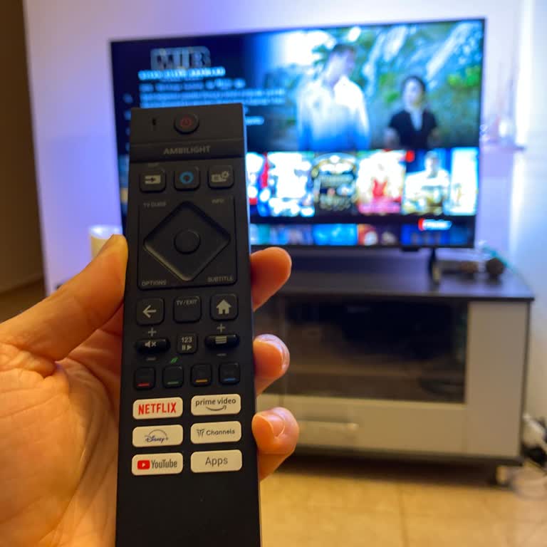 Philips TV Kumandası Bağlantı Sorunu