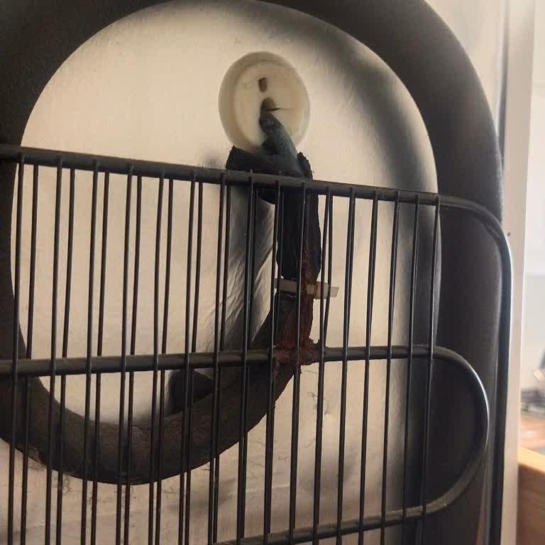 Arçelik Derin Dondurucu Arızası Ve Yüksek Tamir Ücreti