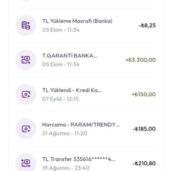 Param Uygulamasında Kalan Bakiyeyi Çekememe Sorunu