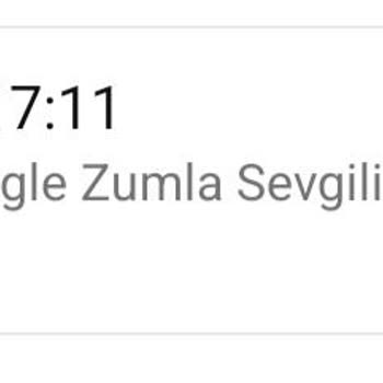 Zumla Sevgili Bul Vip Üyelik Aldığım Halde Mesaj Gitmiyor