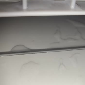 Bosch Kurutma Makinesi Su Sızıntısı Sorunu