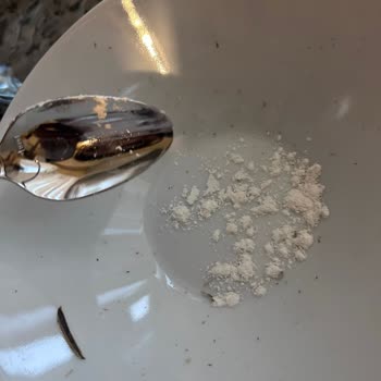 Sinangil Glutensiz Ununda Böcek Şoku