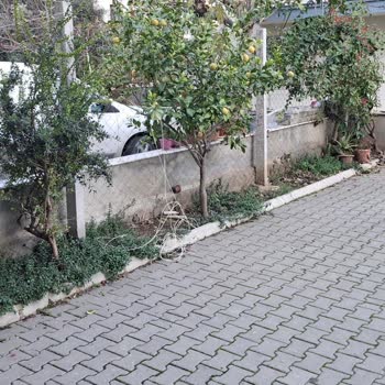 Turkcell Superonline Teknik Ekibinin Dikkatsiz Çalışması Ve Altyapı Sorunları