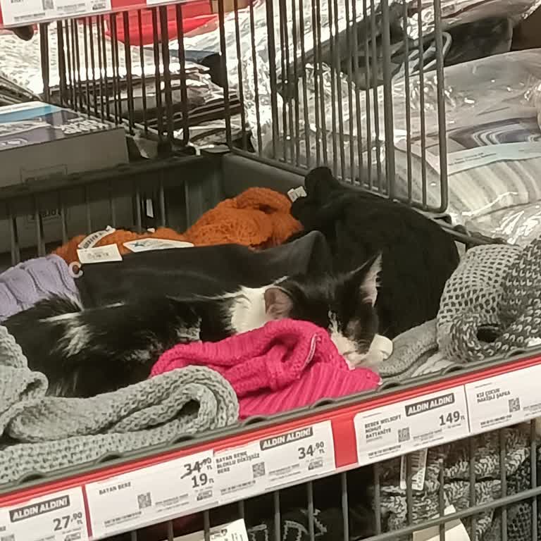 Market İçinde Hijyen Sorunu Ve İlgisizlik