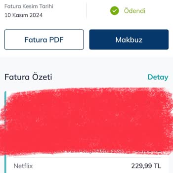 Netflix'ten Çifte Fatura Şoku: Sebebi Ne?
