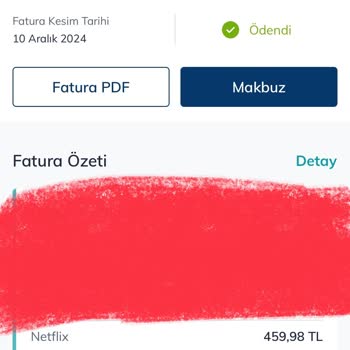 Netflix'ten Çifte Fatura Şoku: Sebebi Ne?