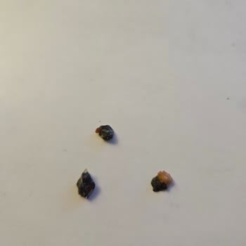 Ayçekirdekli Galetada Taş Tehlikesi