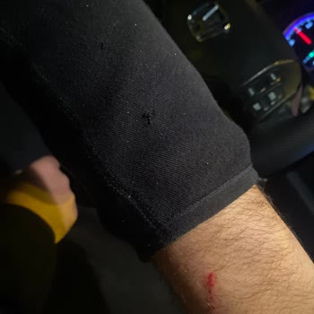 Ken Sushi & More Kedi Sorunu