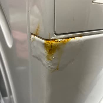 Bosch Serie 4 Çamaşır Makinesinde Şok Edici Paslanma Sorunu