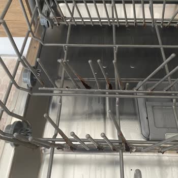 Samsung Bulaşık Makinesi Paslanma Sorunu Ve Yetersiz Servis