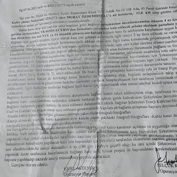 SEDAŞ'ın Elektrik Direği Dikimindeki İlgisizliği