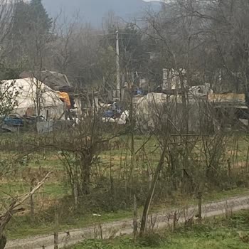 SEDAŞ'ın Elektrik Direği Dikimindeki İlgisizliği