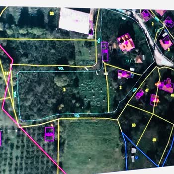 SEDAŞ'ın Elektrik Direği Dikimindeki İlgisizliği