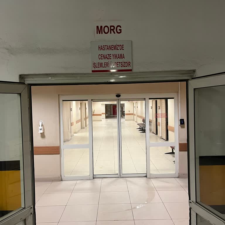 Ücretsiz Hizmet Beklentileri ve Yaşanan Sorunlar