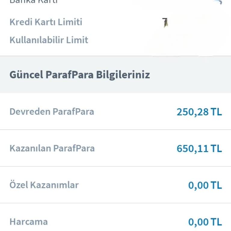 Halkbank Paraf Puanları Kullanılamıyor