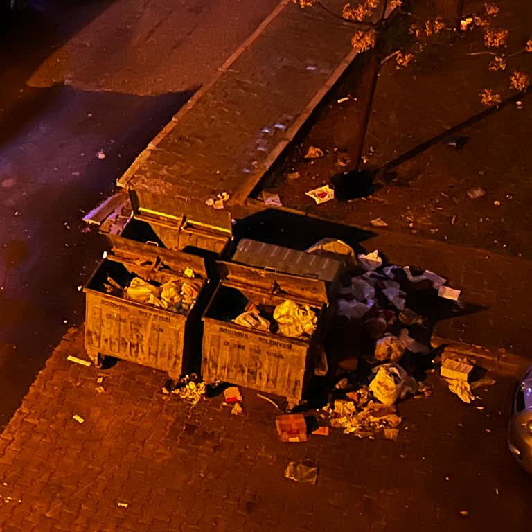 Çöp Konteynerlerinin Yanlış Konumlandırılması Ve Düzenli Toplanmaması