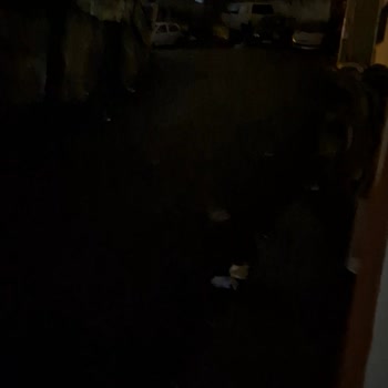 Gediz Elektrik'in İhmali: Sokak Aydınlatmaları Ve Çocukların Güvenliği