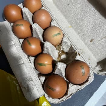 Tire Yumurtalarında Sürekli Kırıklar Ve Maddi Zarar