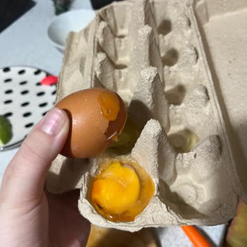 Tire Yumurtalarında Sürekli Kırıklar Ve Maddi Zarar