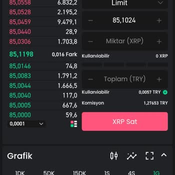 Bitay'da XRP Transfer Sorunu: Paramı Çekemiyorum