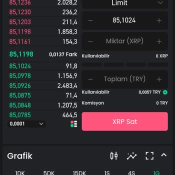 Bitay'da XRP Transfer Sorunu: Paramı Çekemiyorum