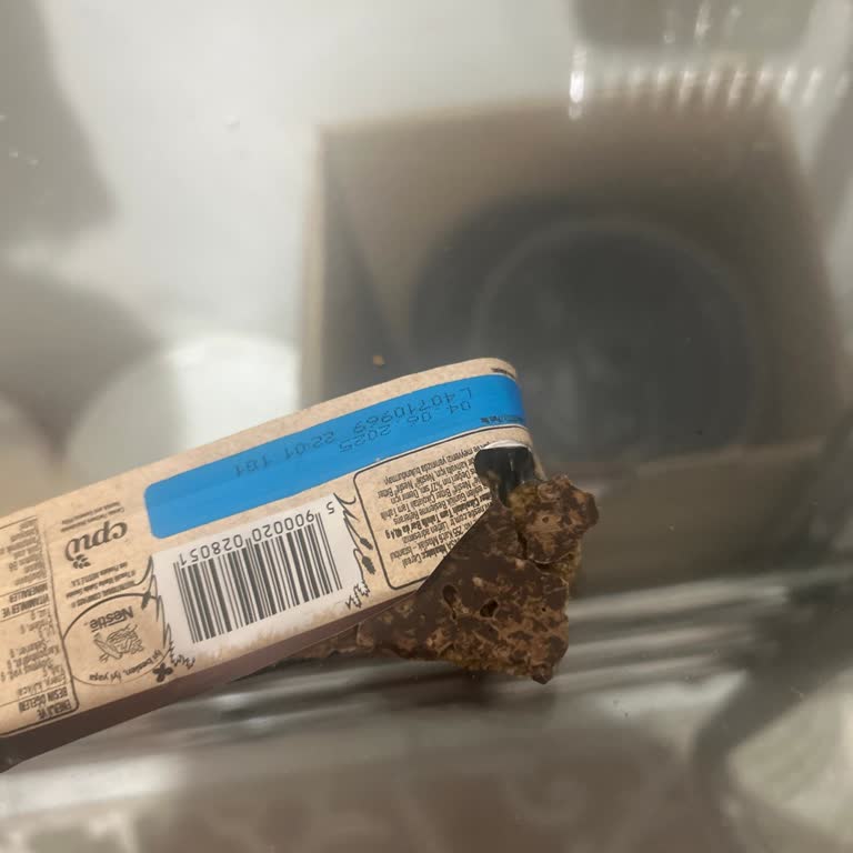 Tahıl Bar Beklentileri Karşılamıyor