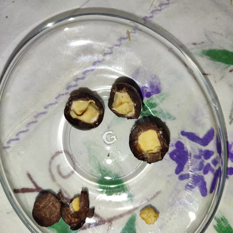 Fındıklı Çikolata Drajelerde Beklenmedik Sürpriz: Leblebi!