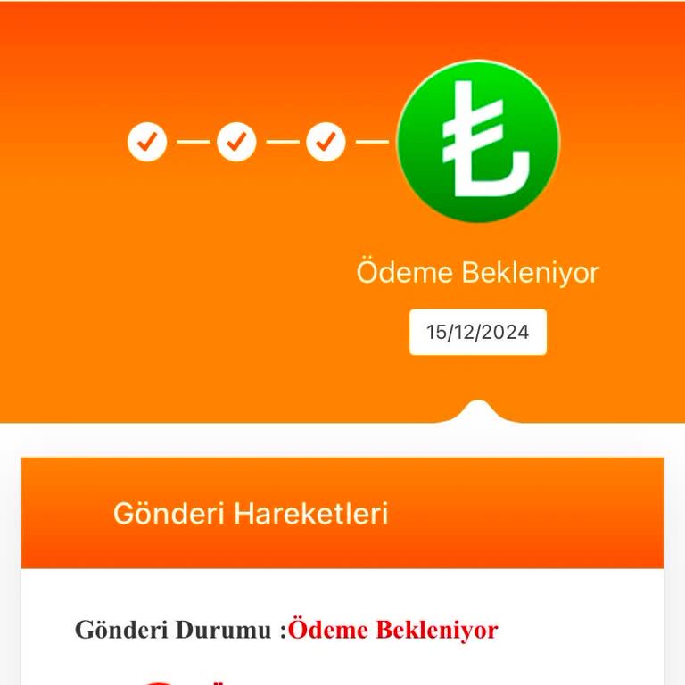 Kargo Ücreti Yanıltmacası: Ücretsiz Teslimat Beklentisi